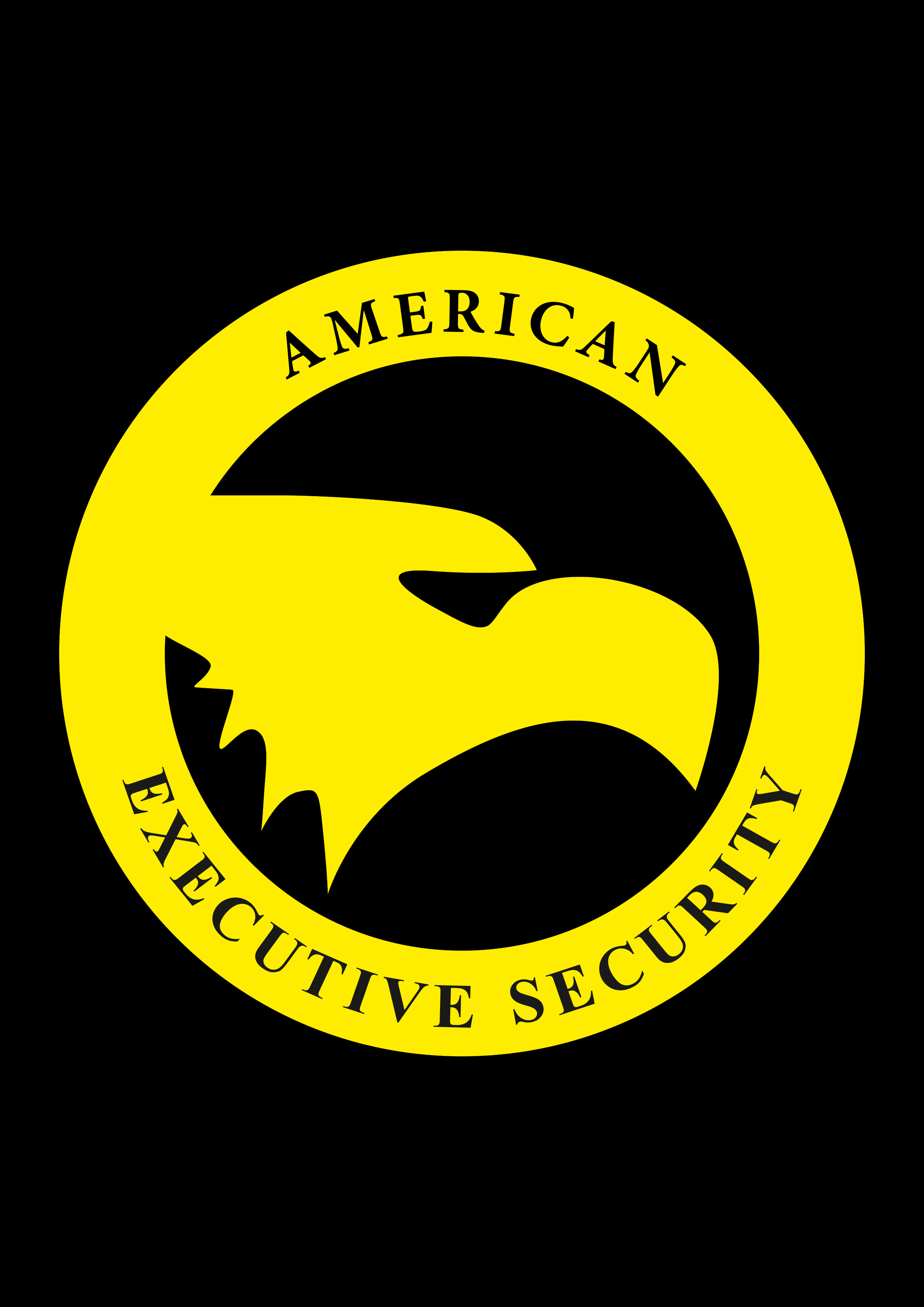Home - American Executive Security